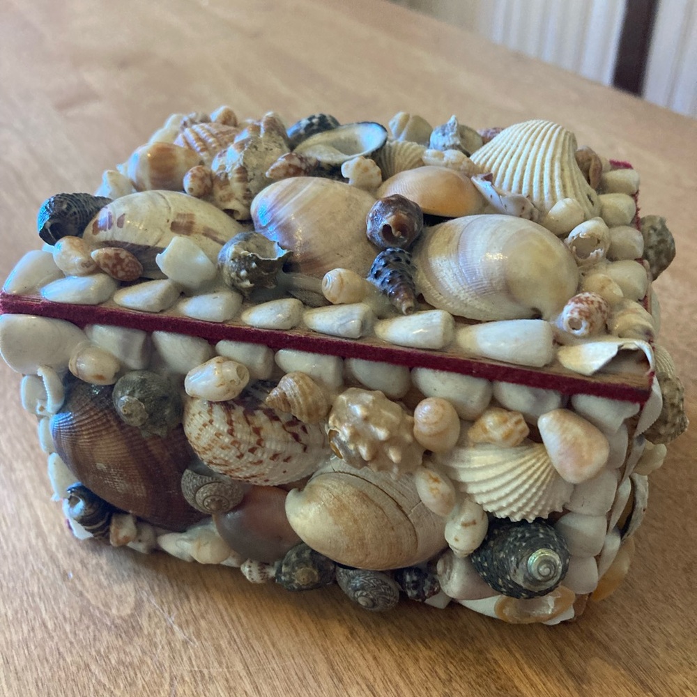 Vintage shell trinket/jewelry box - Picture 7 of 7
